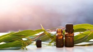 huile essentielle eucalyptus pour les reflux acides